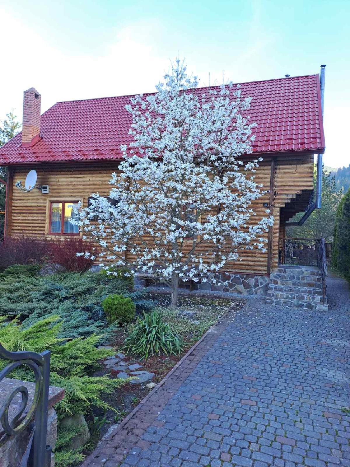 塔塔里夫Magnolia别墅 外观 照片